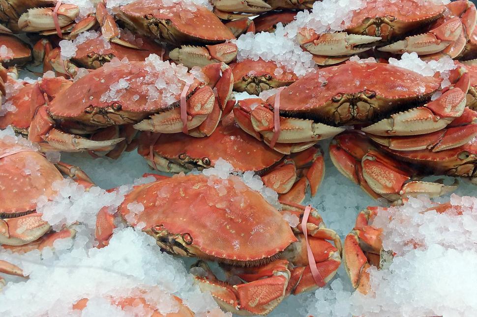 Cooked crab images download for pc